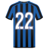 Adem Ljajić